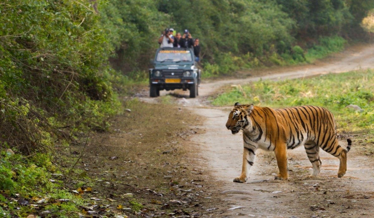 jim corbett national park tour package