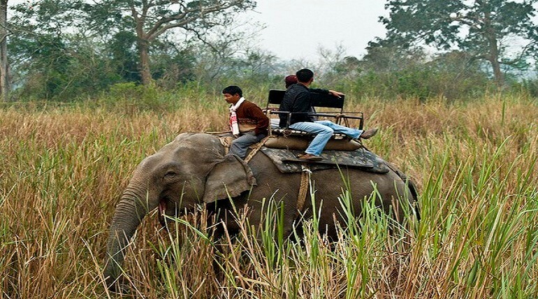 jim corbett national park tour package